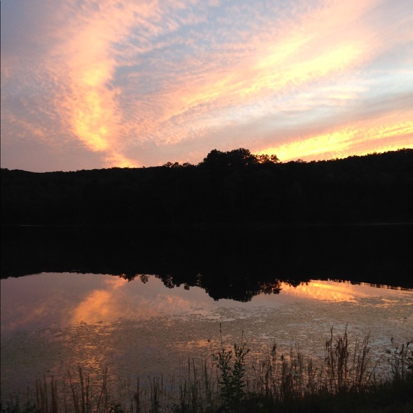 Meet your Posher, Sandy - Picture 5 of 7